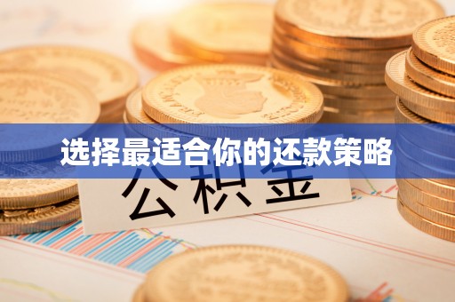 乐陵选择最适合你的还款策略
