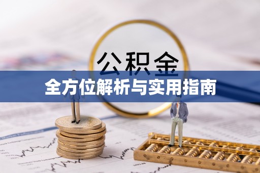 乐陵全方位解析与实用指南