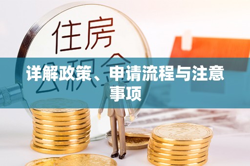 乐陵详解政策、申请流程与注意事项