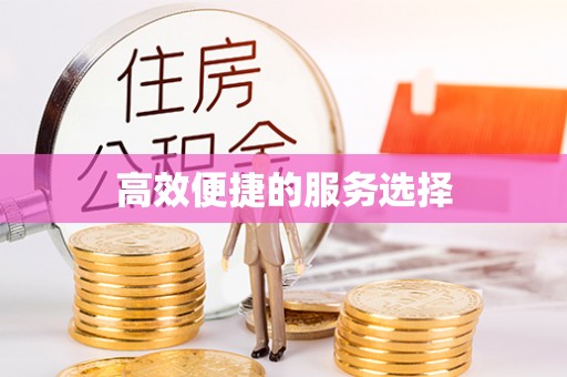 乐陵高效便捷的服务选择