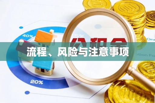 乐陵流程、风险与注意事项