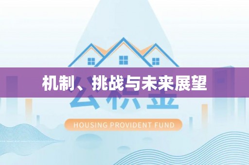 乐陵机制、挑战与未来展望